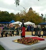 Peu de foto 2: Coca enramada i vi, eixos vertebradors de LEnramada de lArbo (Autor: A.